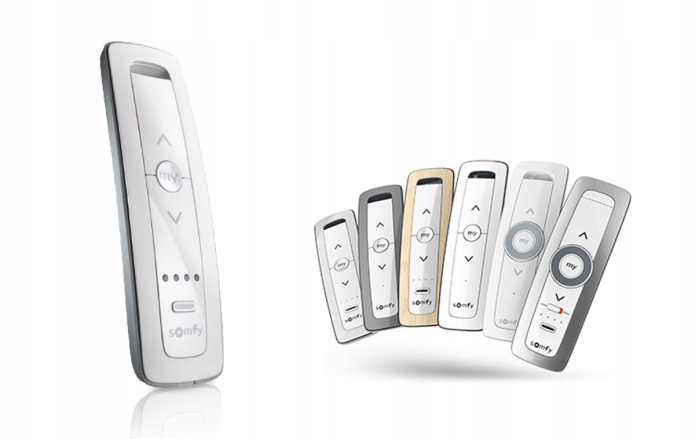 Pilot SOMFY 1870328 SITUO 5 io Pure II